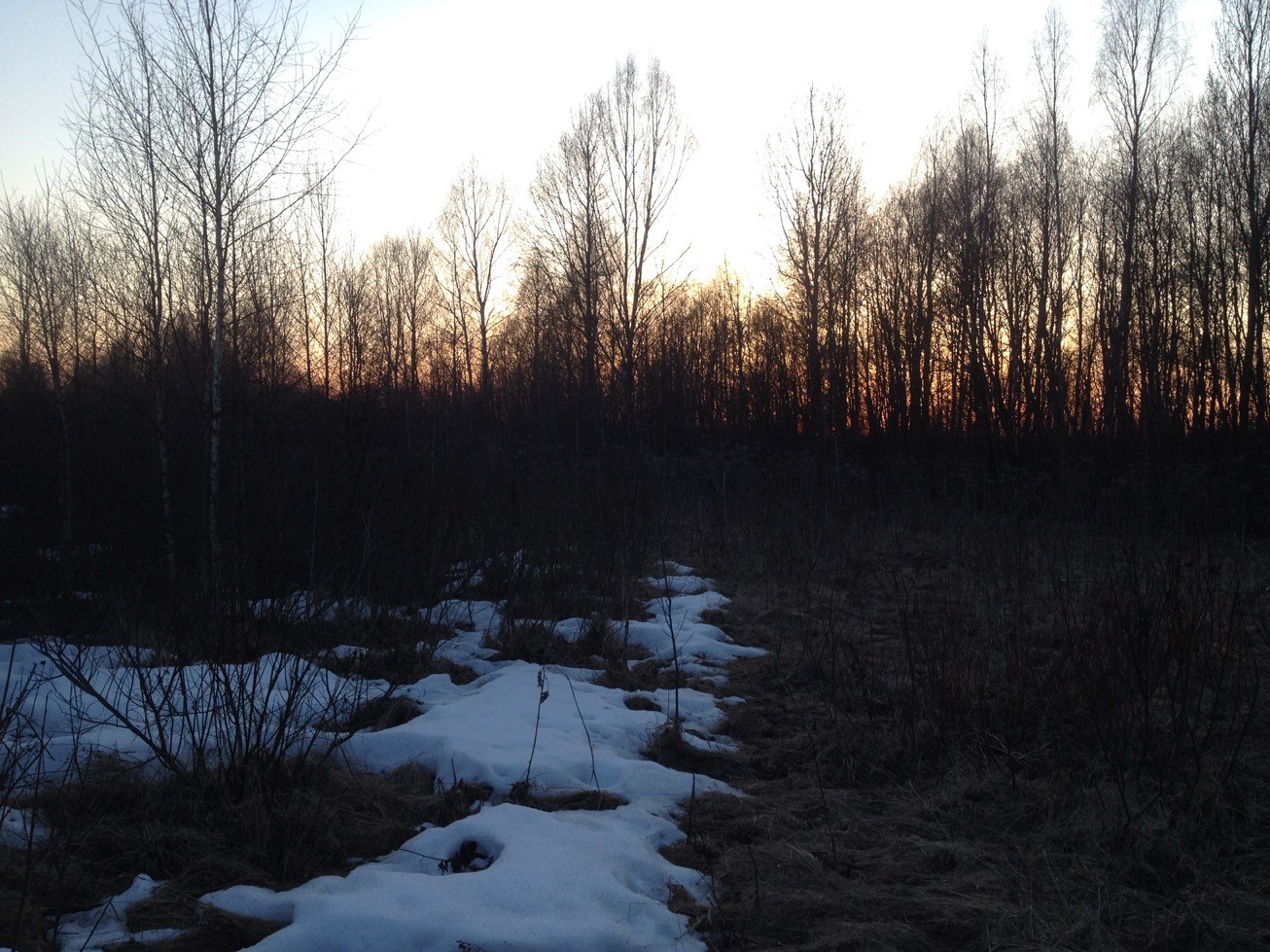 Охота на вальдшнепа весной